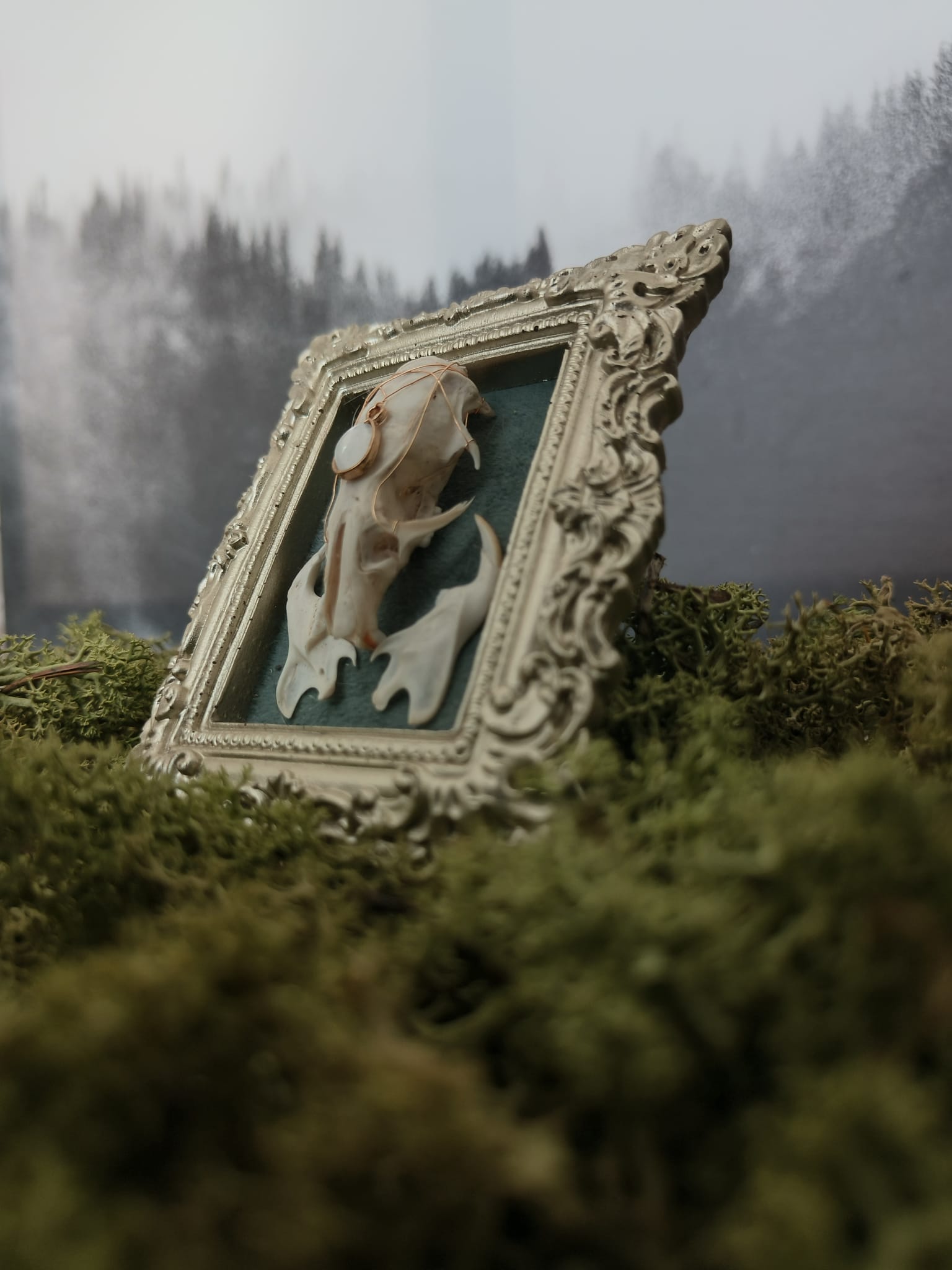 Kader Rat – galerij 2