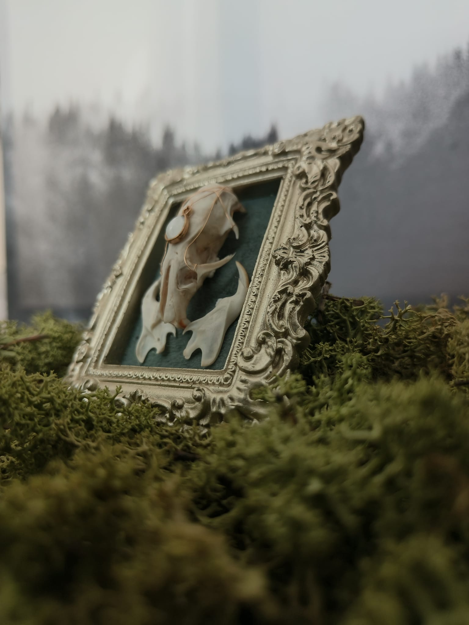 Kader Rat – galerij 3