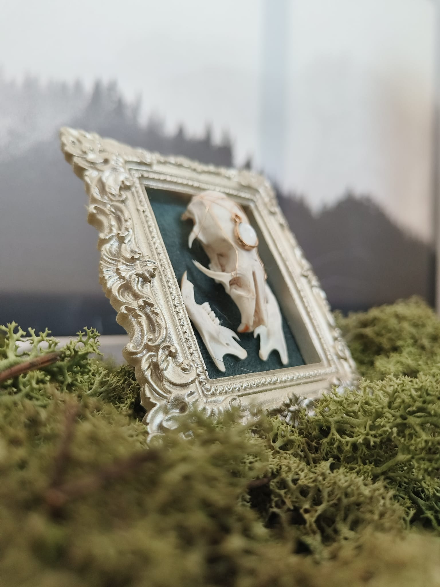 Kader Rat – galerij 4