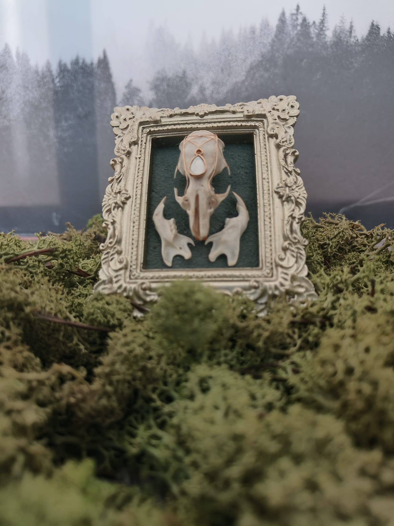 Kader Rat – galerij 5