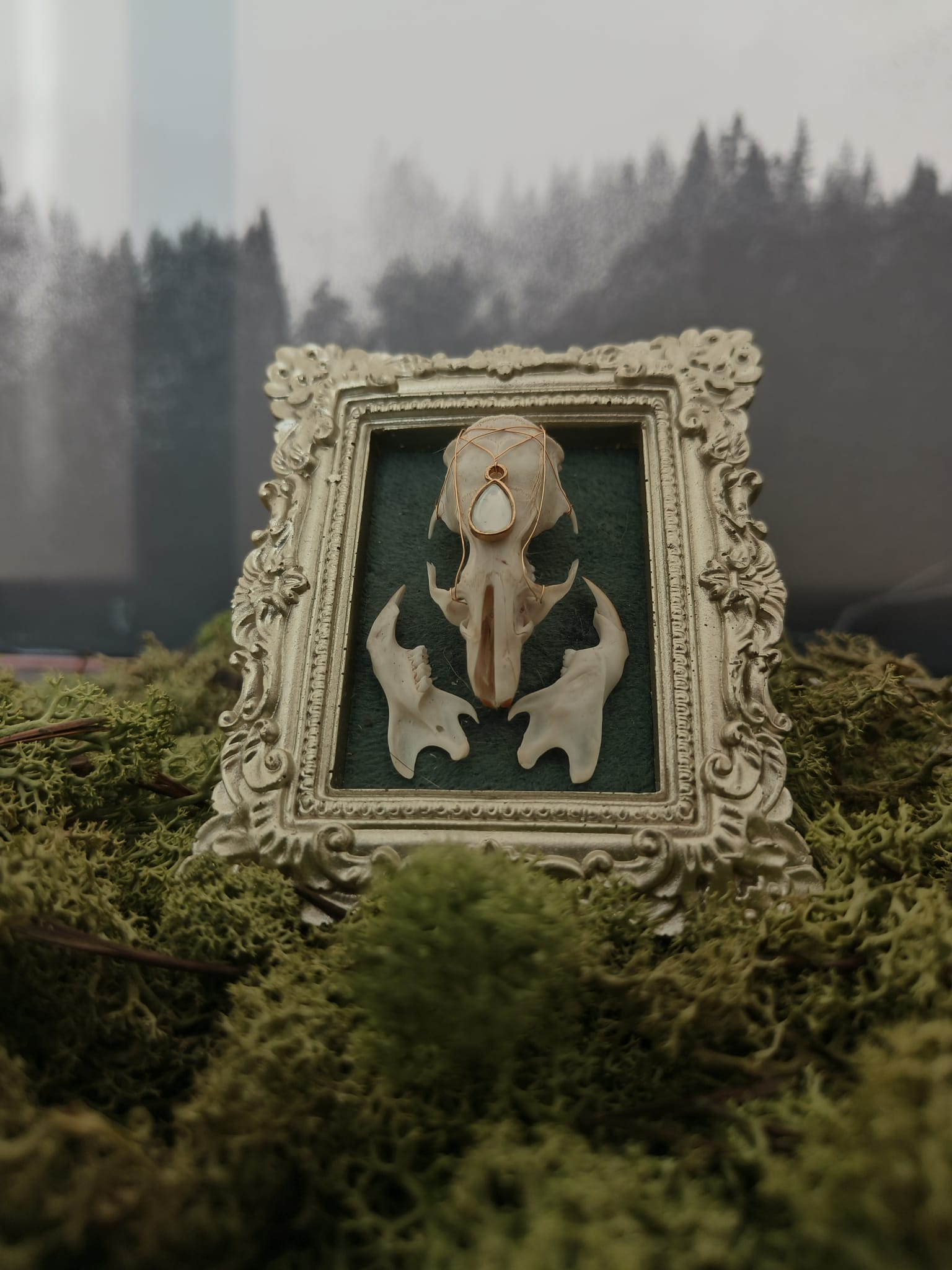 Kader Rat – galerij 6