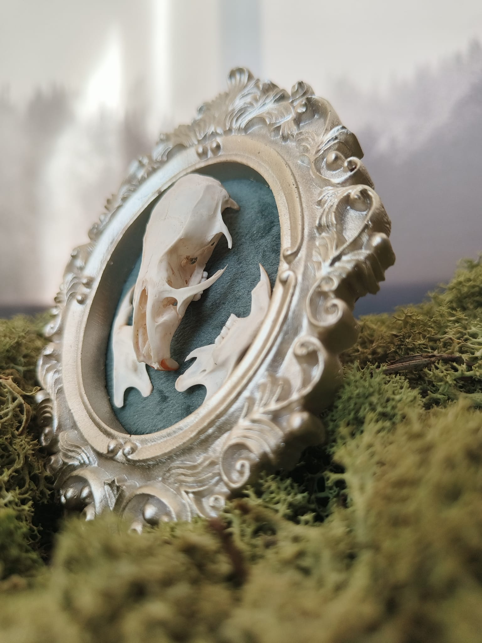 Kader Rat – galerij 1