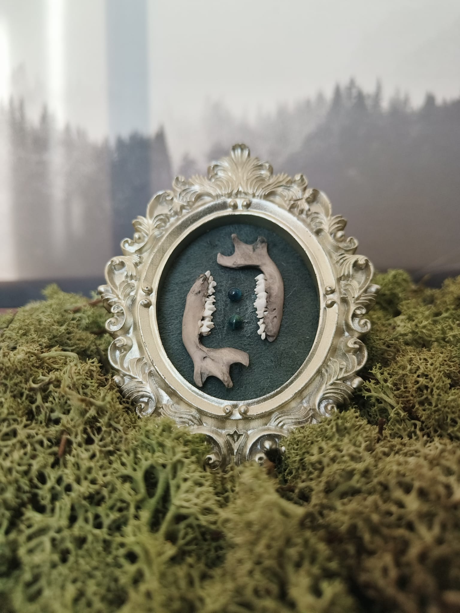 Kader Egel - Online kopen