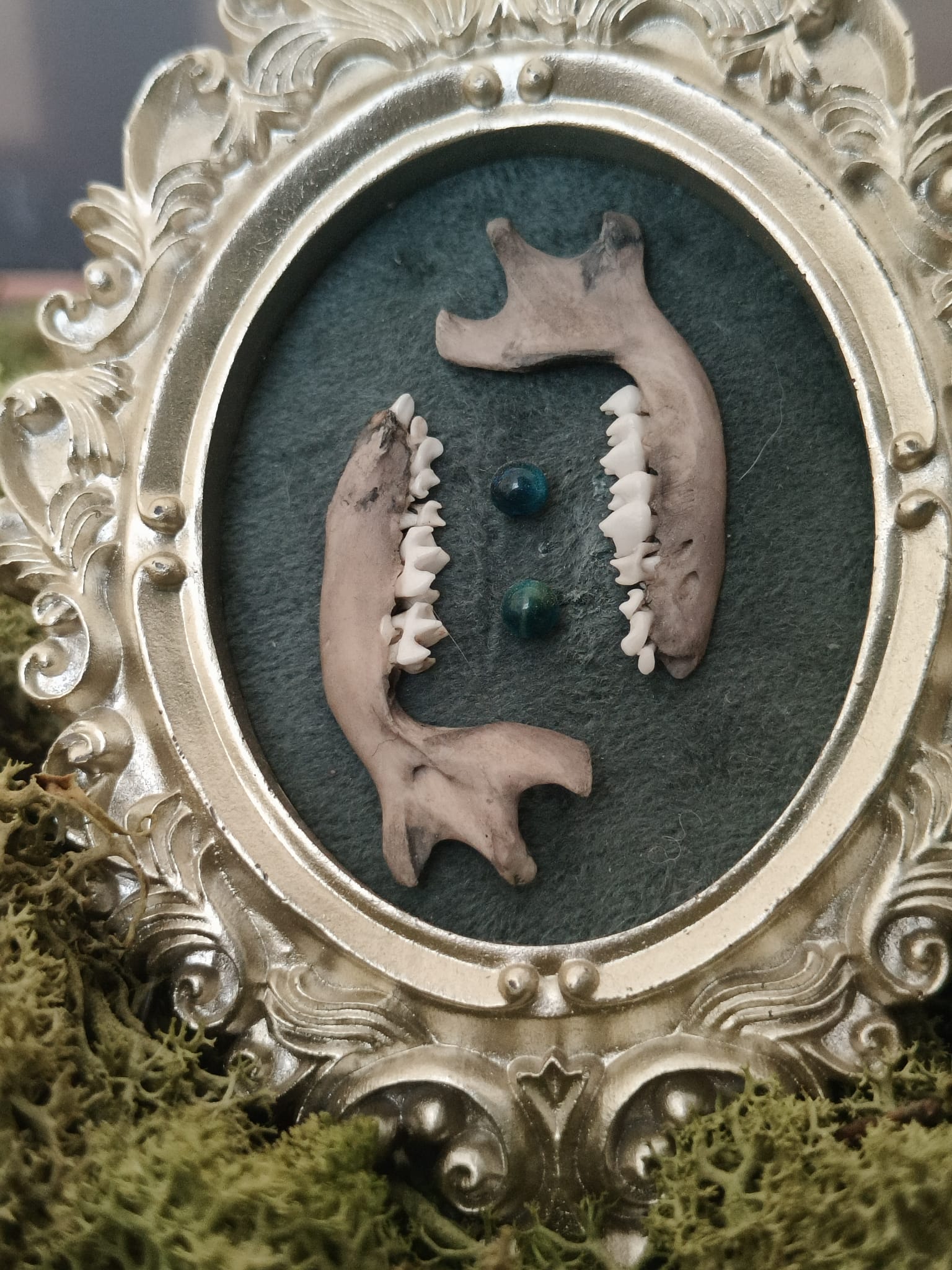 Kader Egel – galerij 4