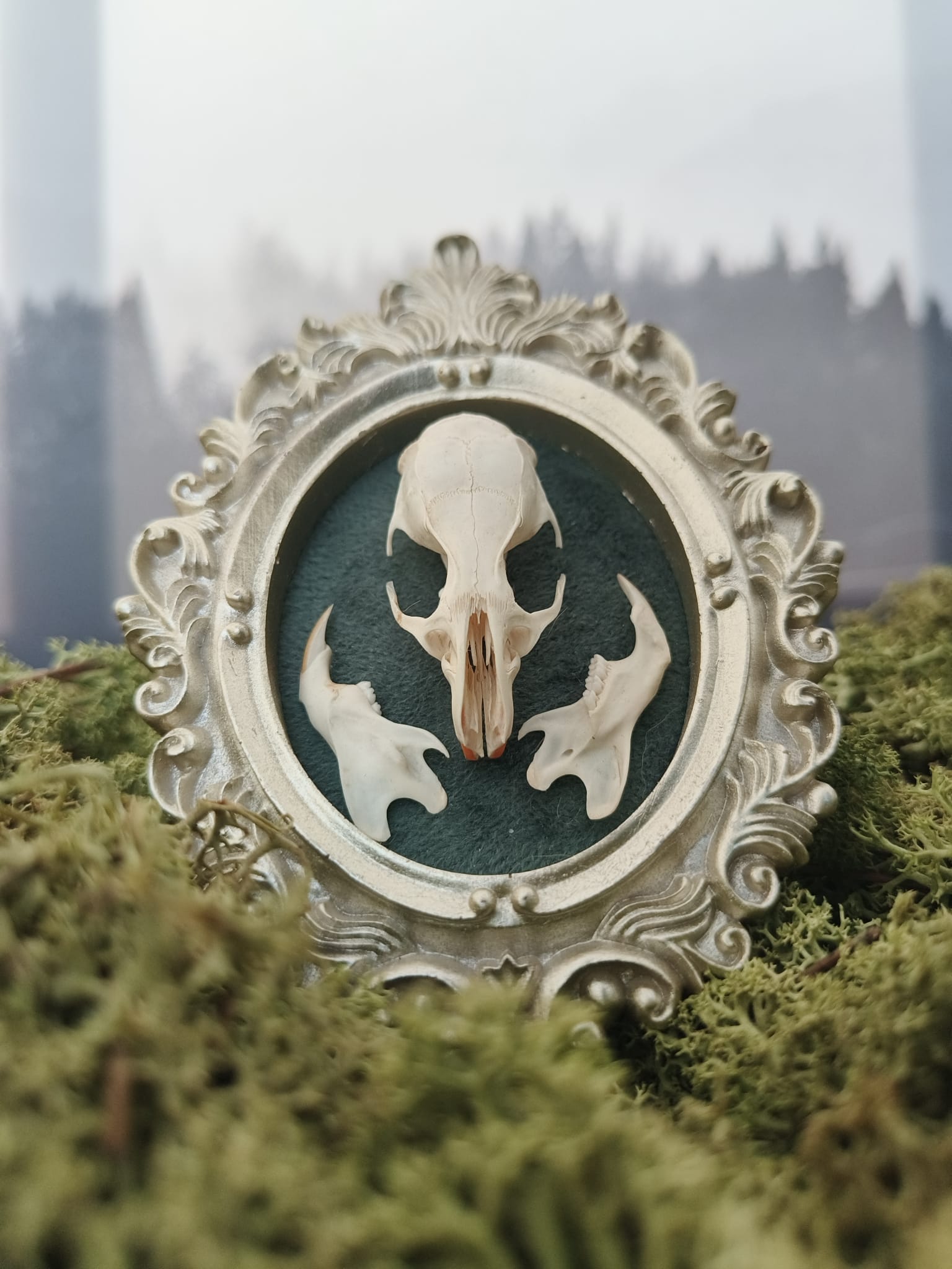 Kader Rat – galerij 2