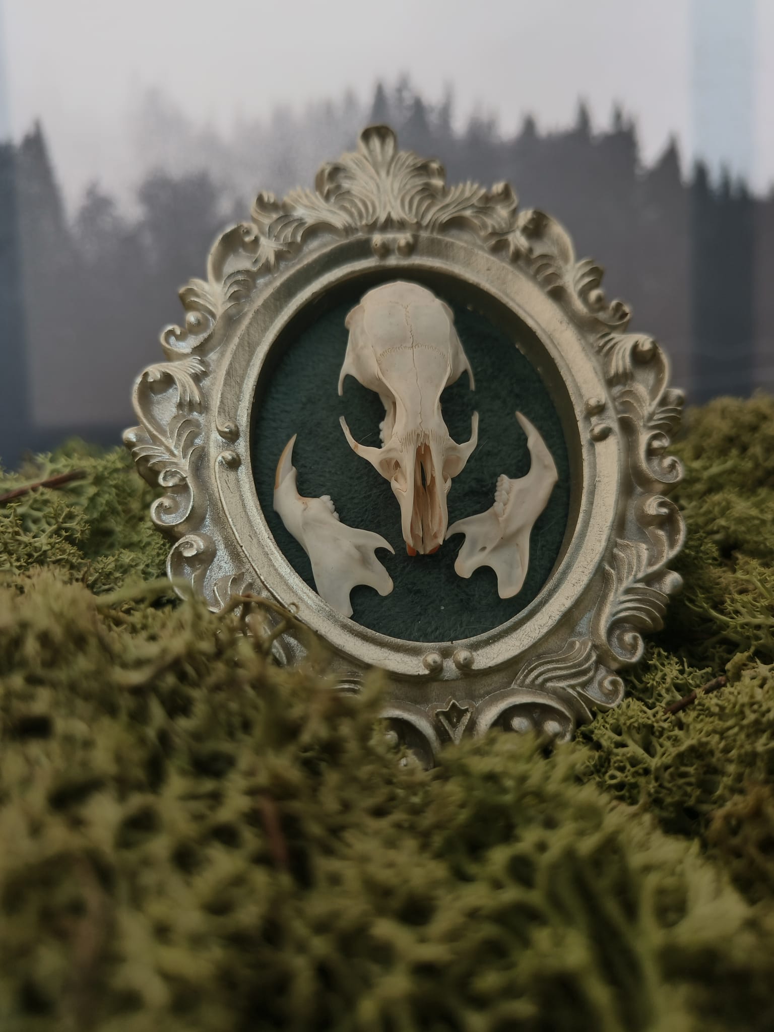 Kader Rat – galerij 3