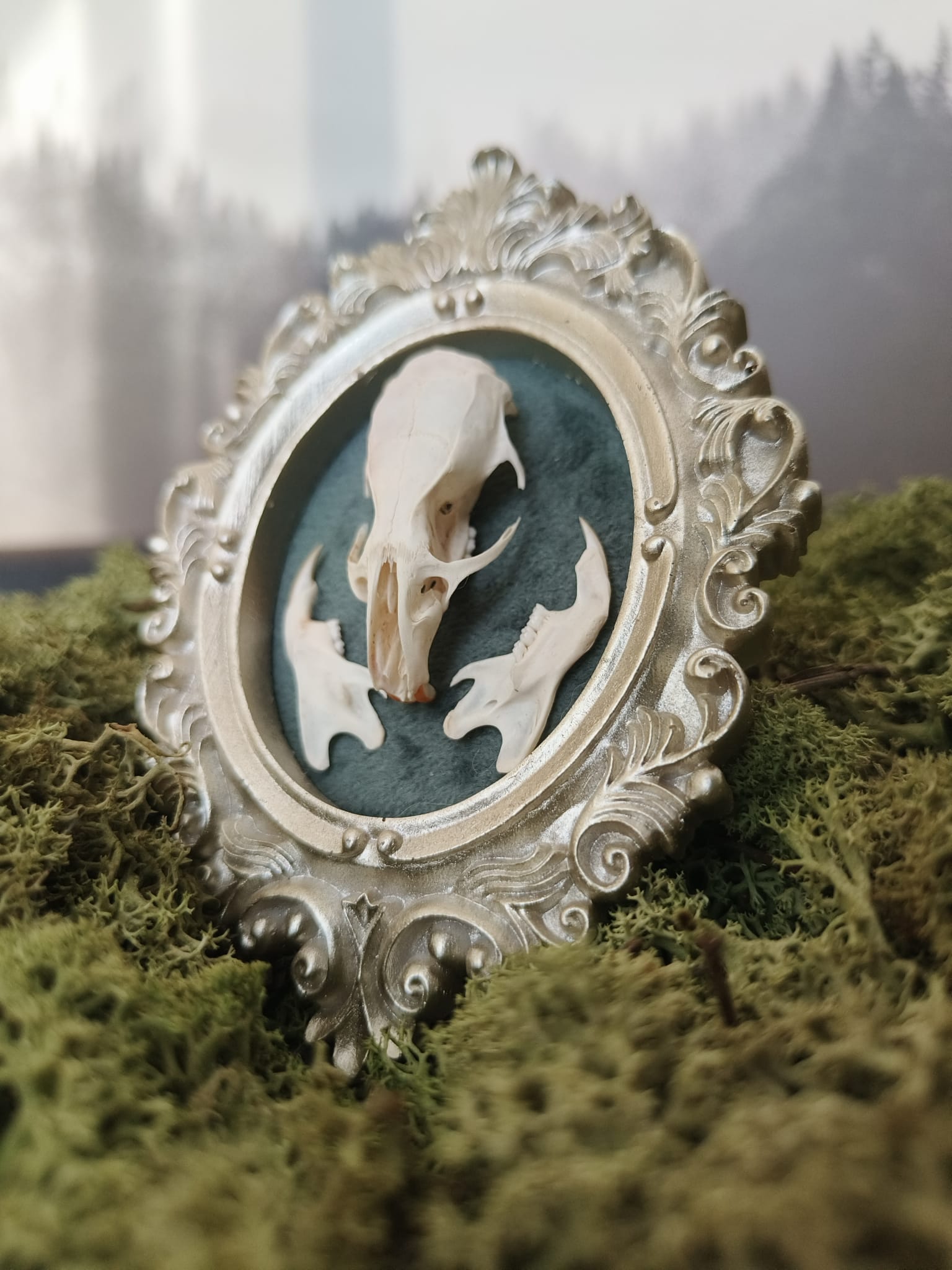 Kader Rat – galerij 4