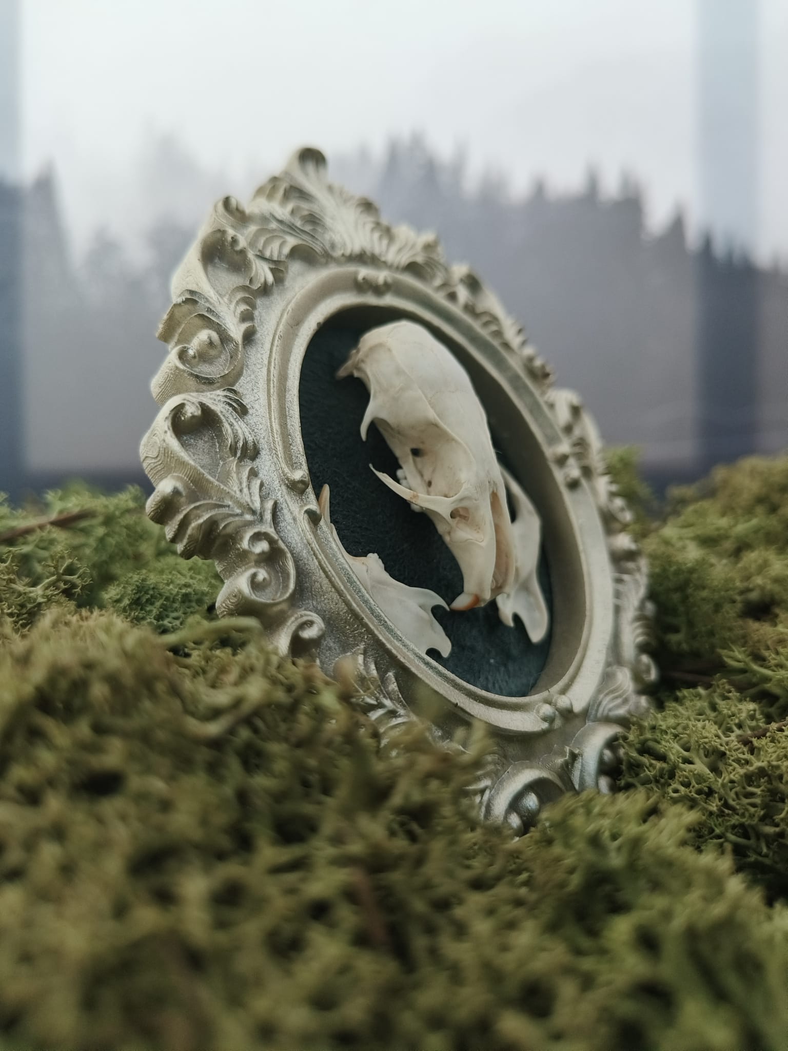 Kader Rat – galerij 5