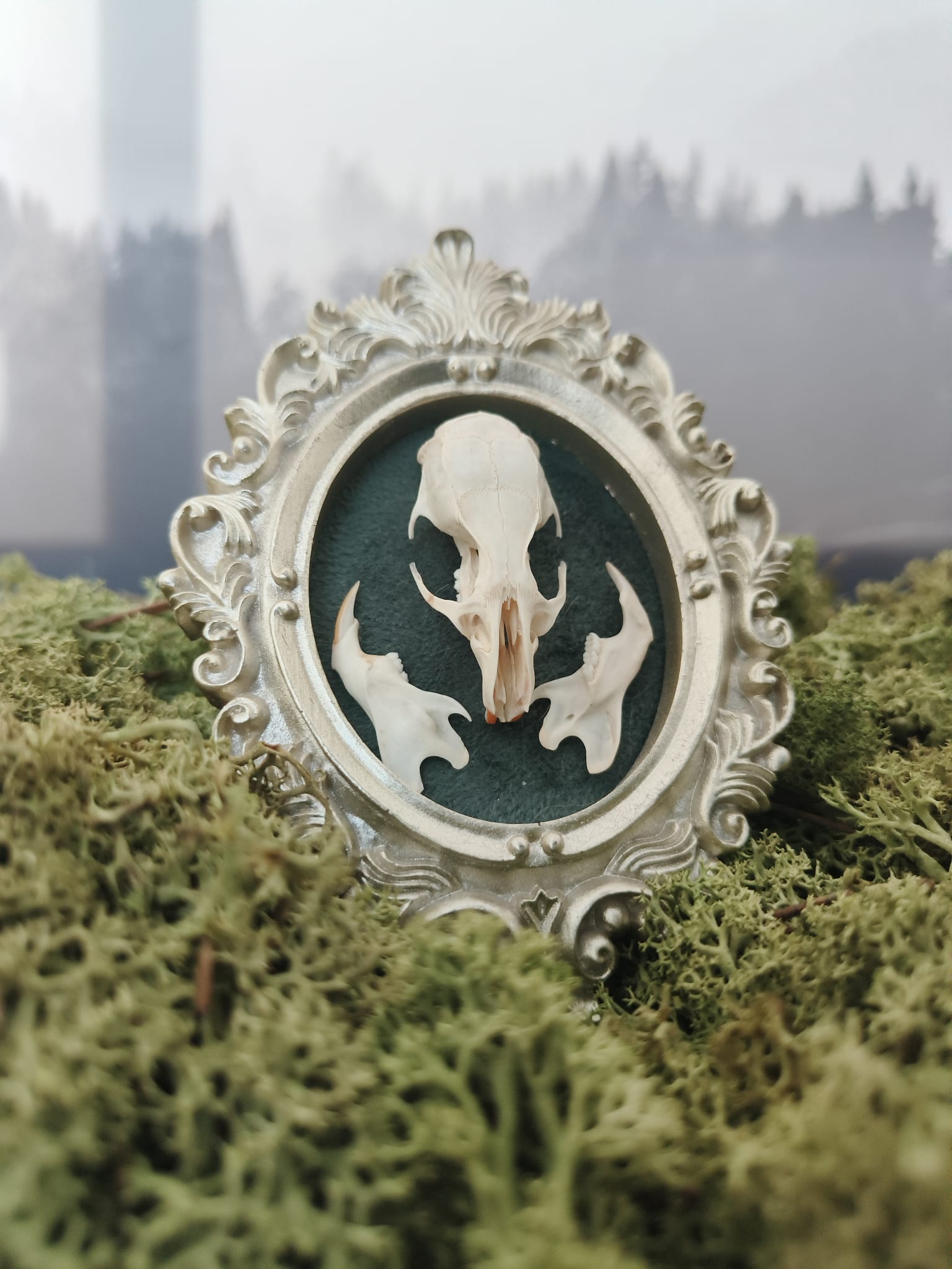 Kader Rat – galerij 6