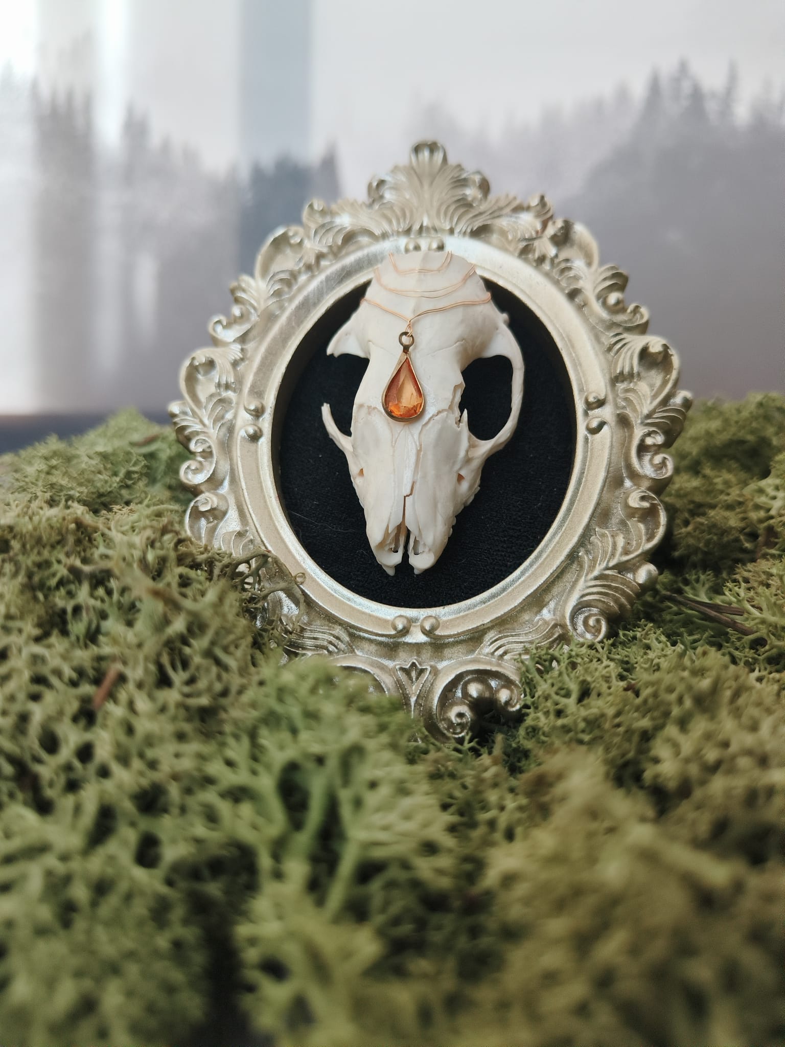 kader Egel - Online kopen