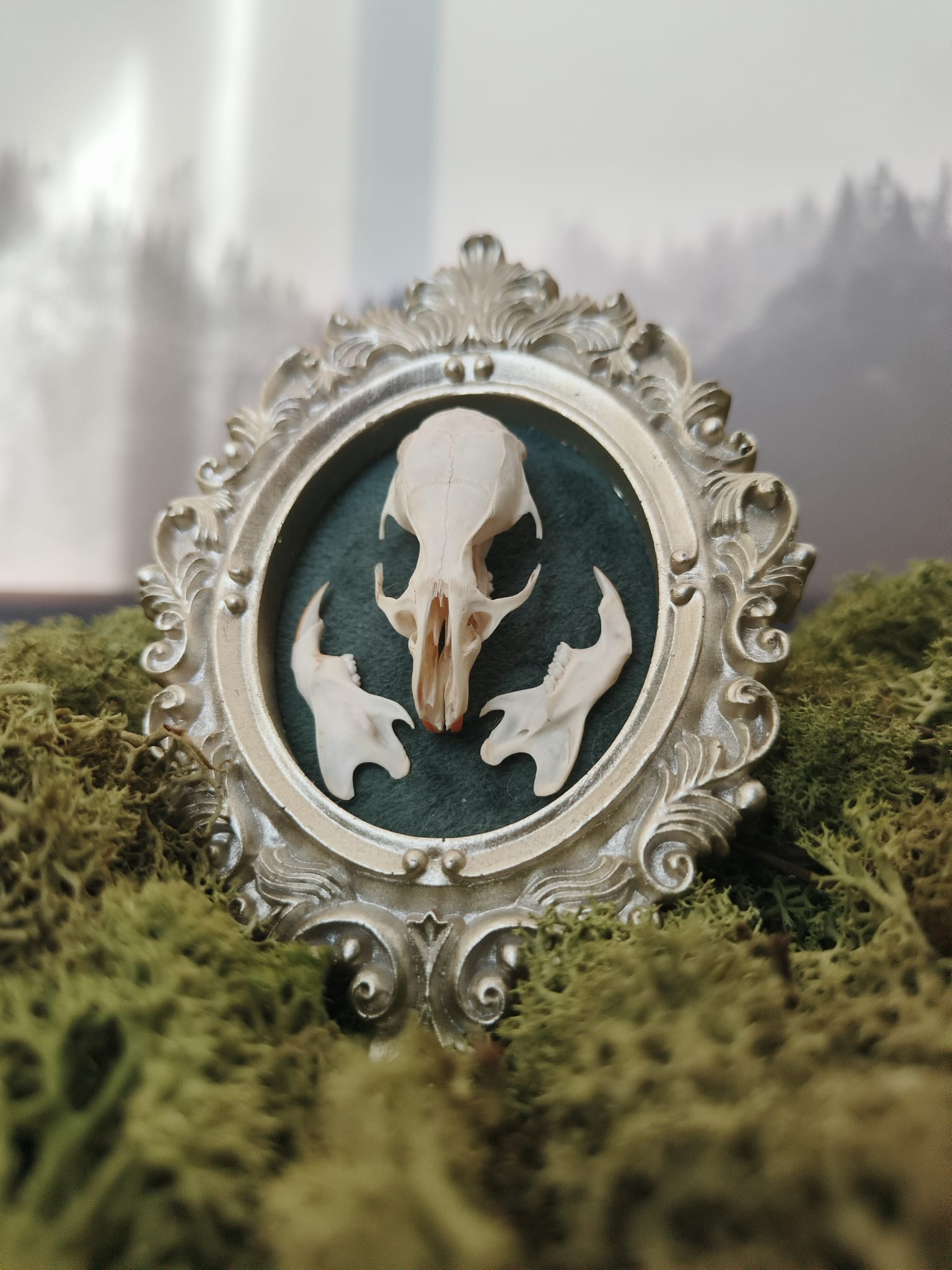 Kader Rat - Online kopen