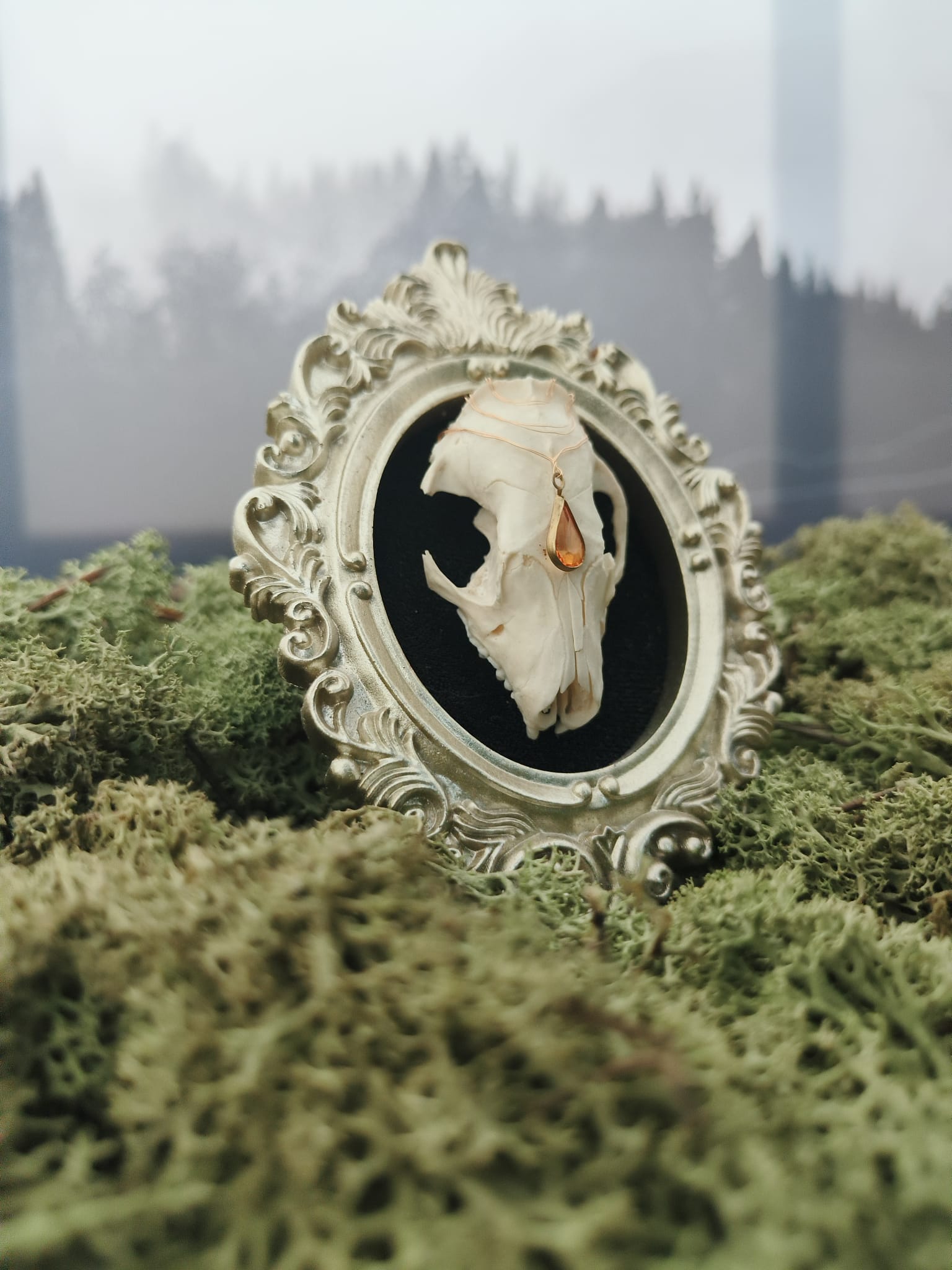 kader Egel – galerij 2