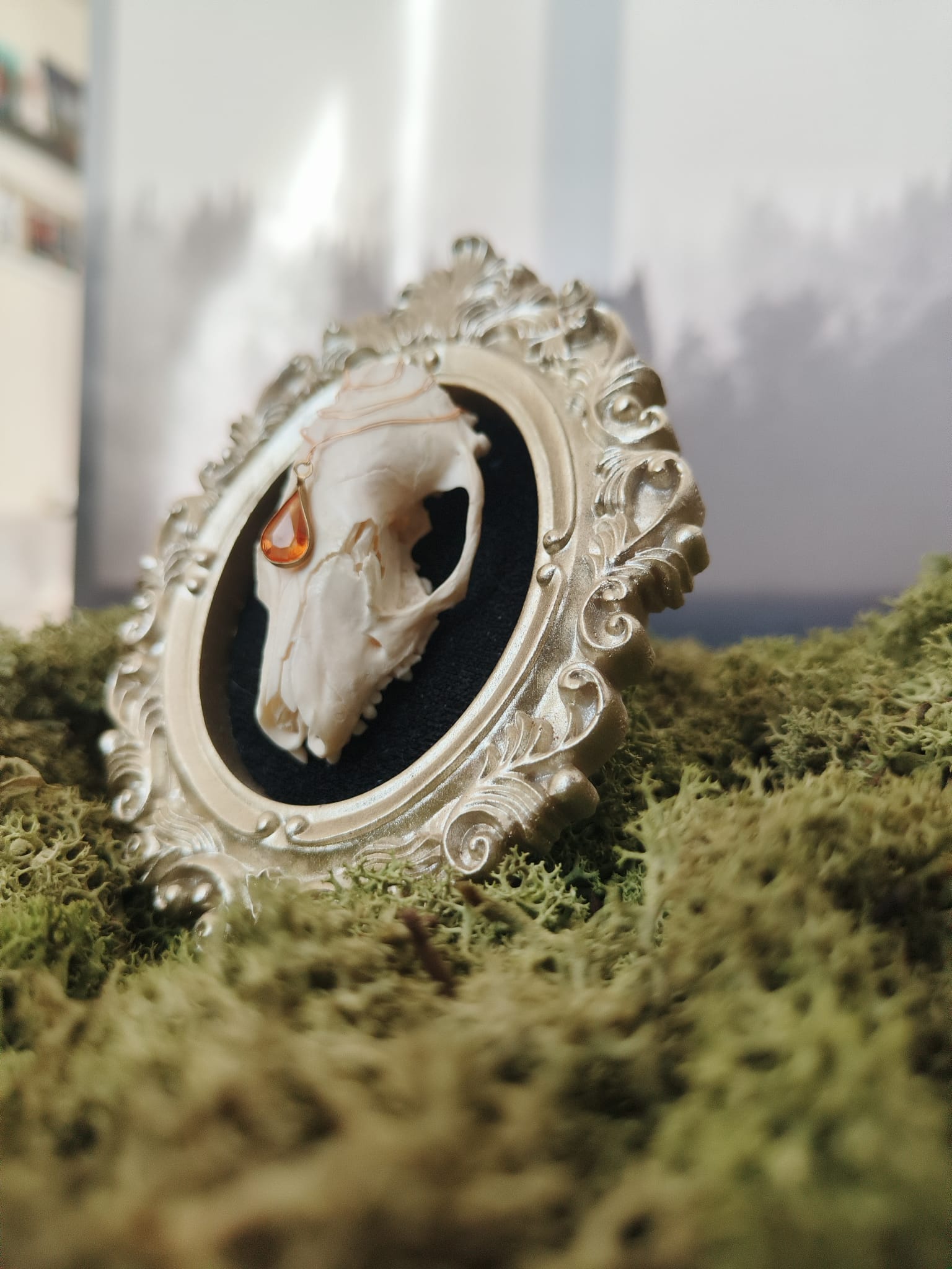 kader Egel – galerij 3