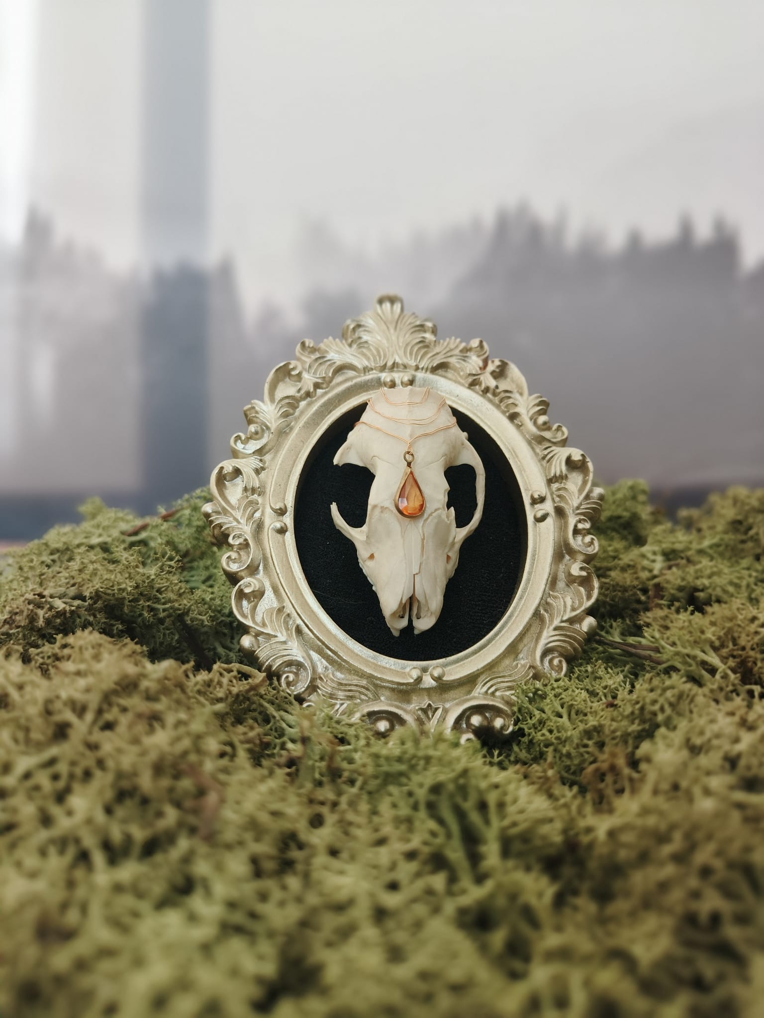 kader Egel – galerij 4