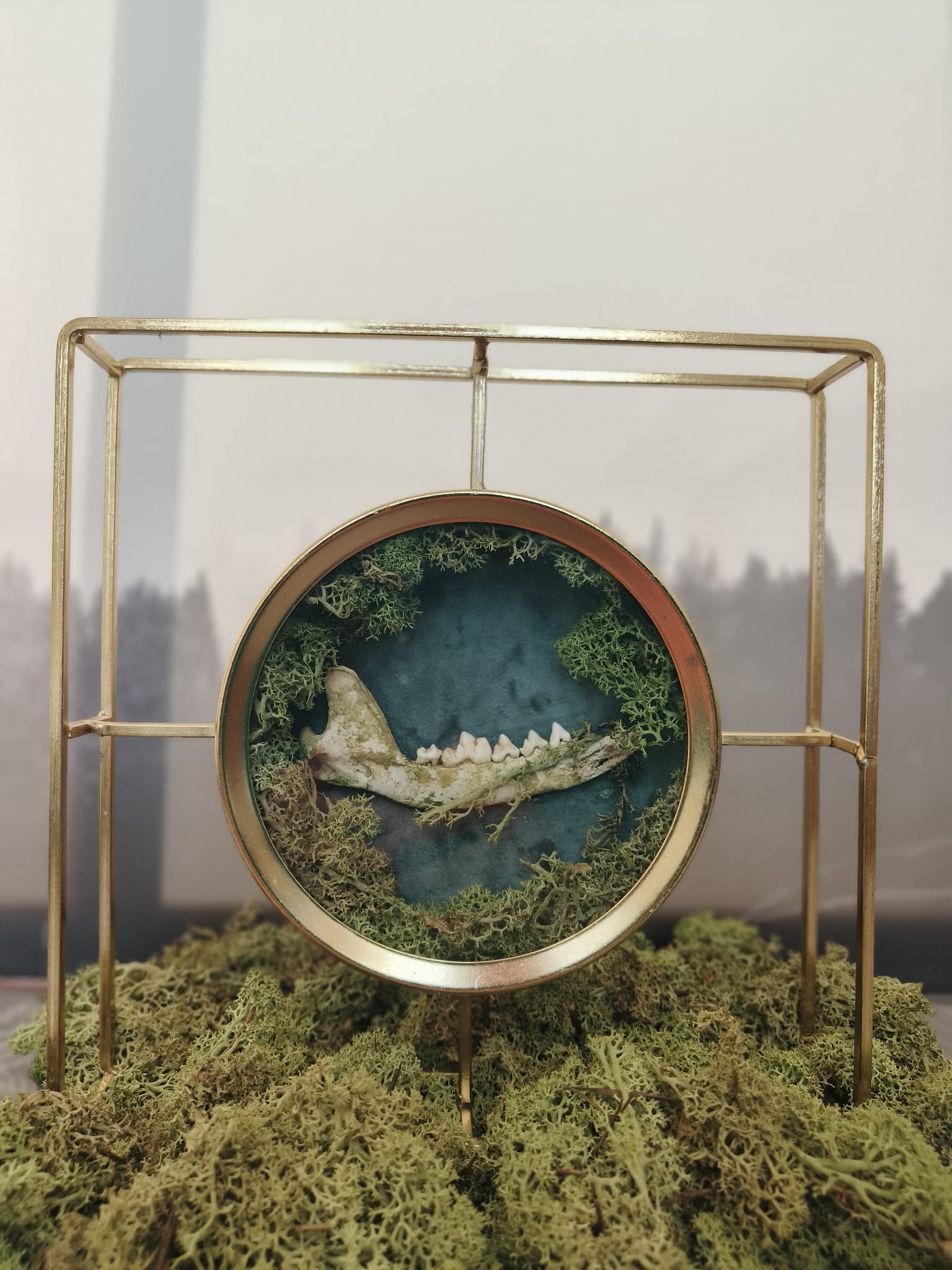 Kader Das - Online kopen