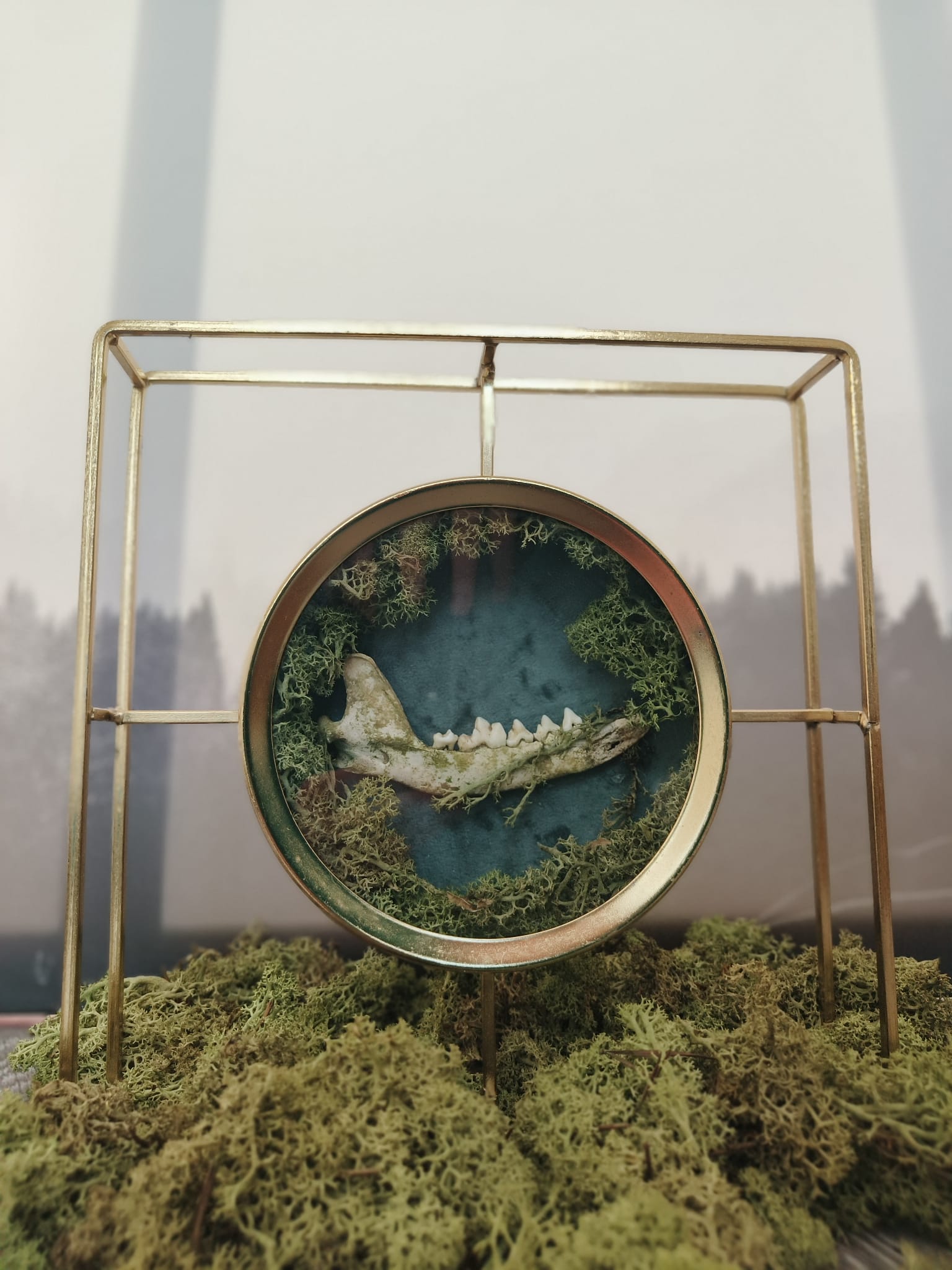 Kader Das – galerij 2