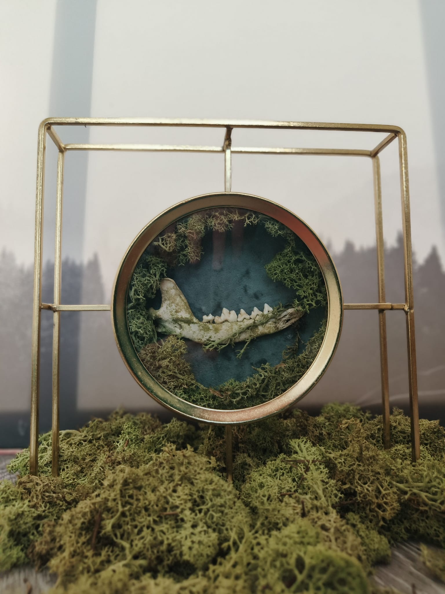 Kader Das – galerij 3