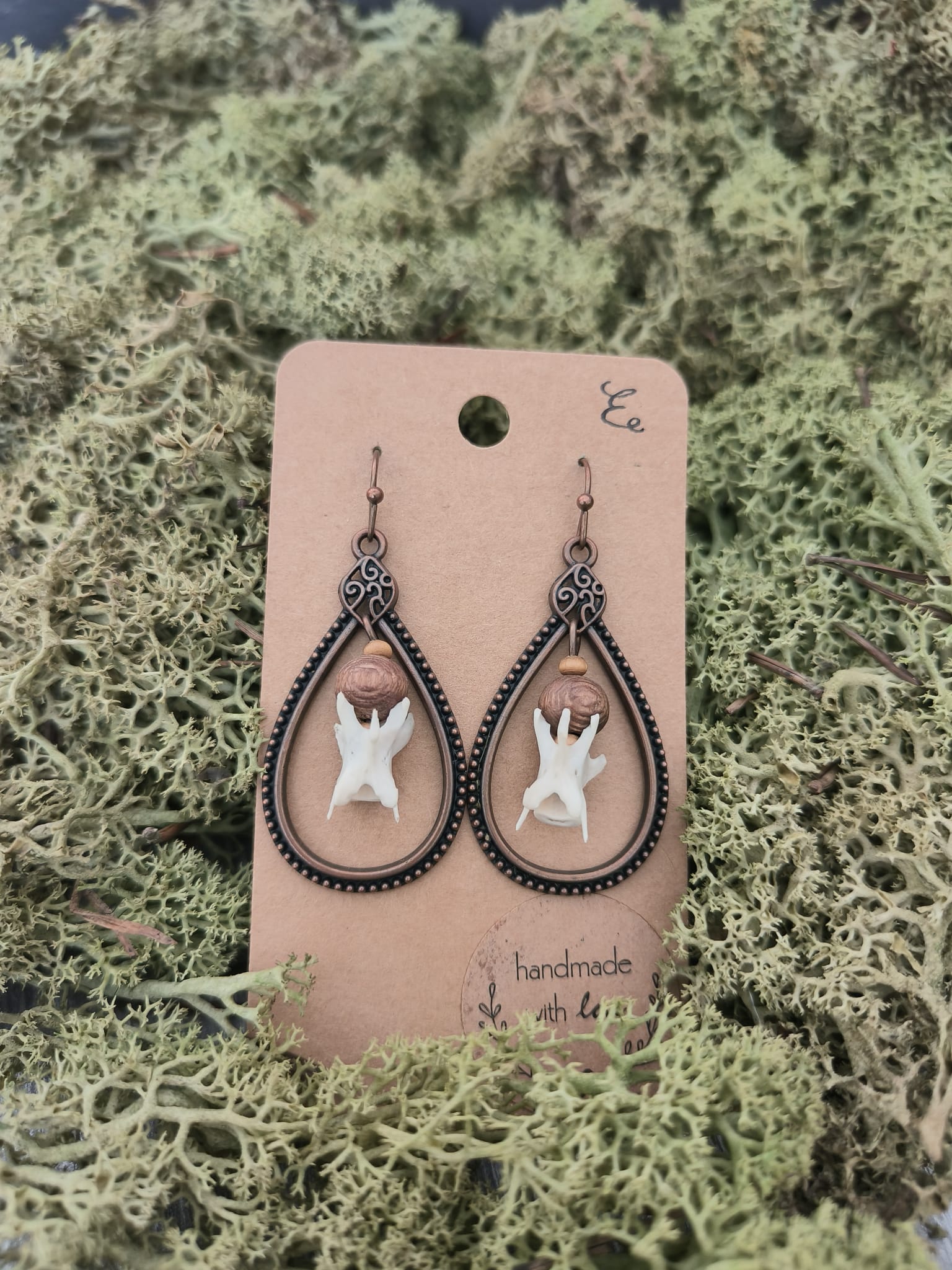 eekhoorn – galerij 5