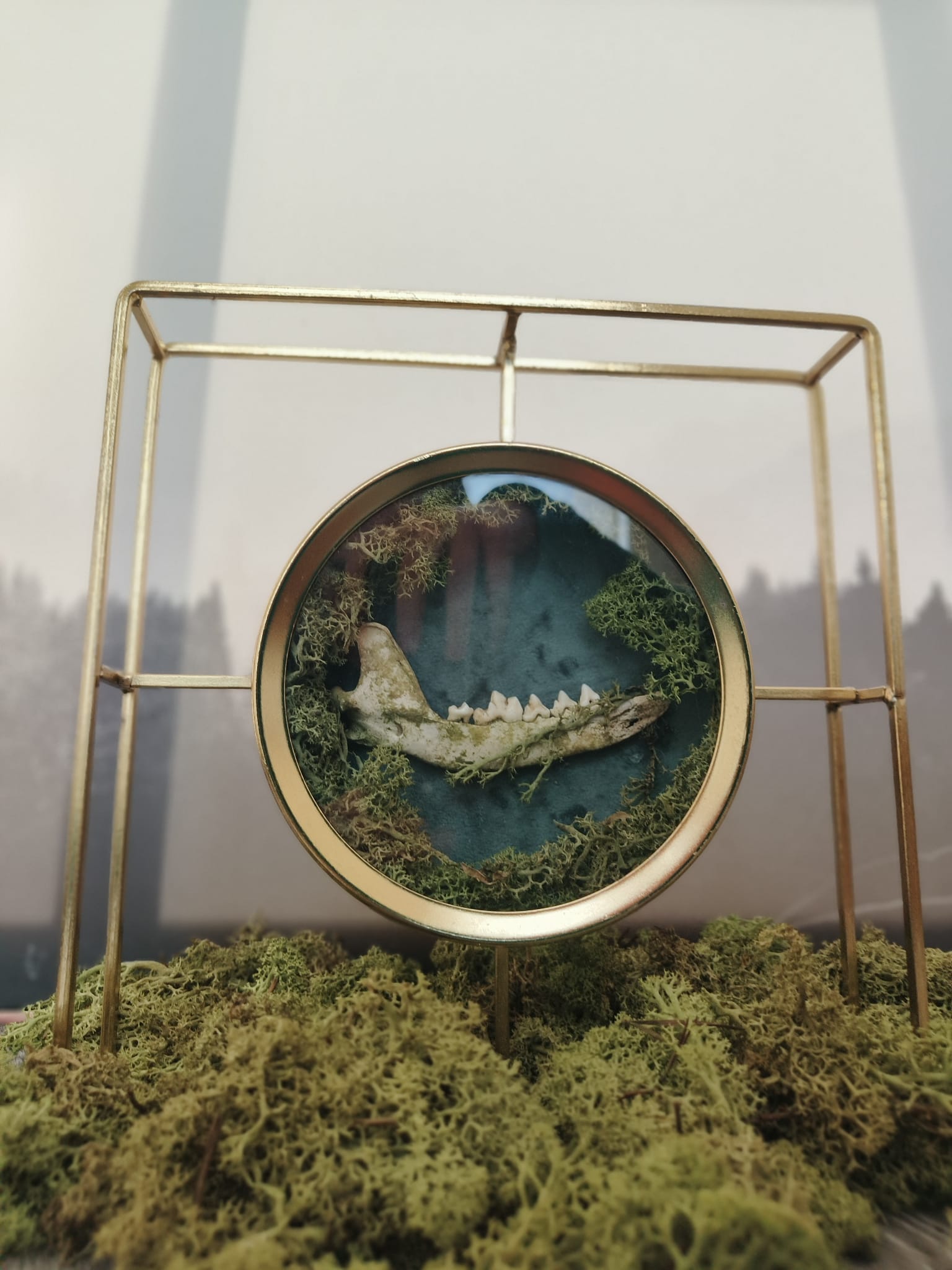 Kader Das – galerij 4