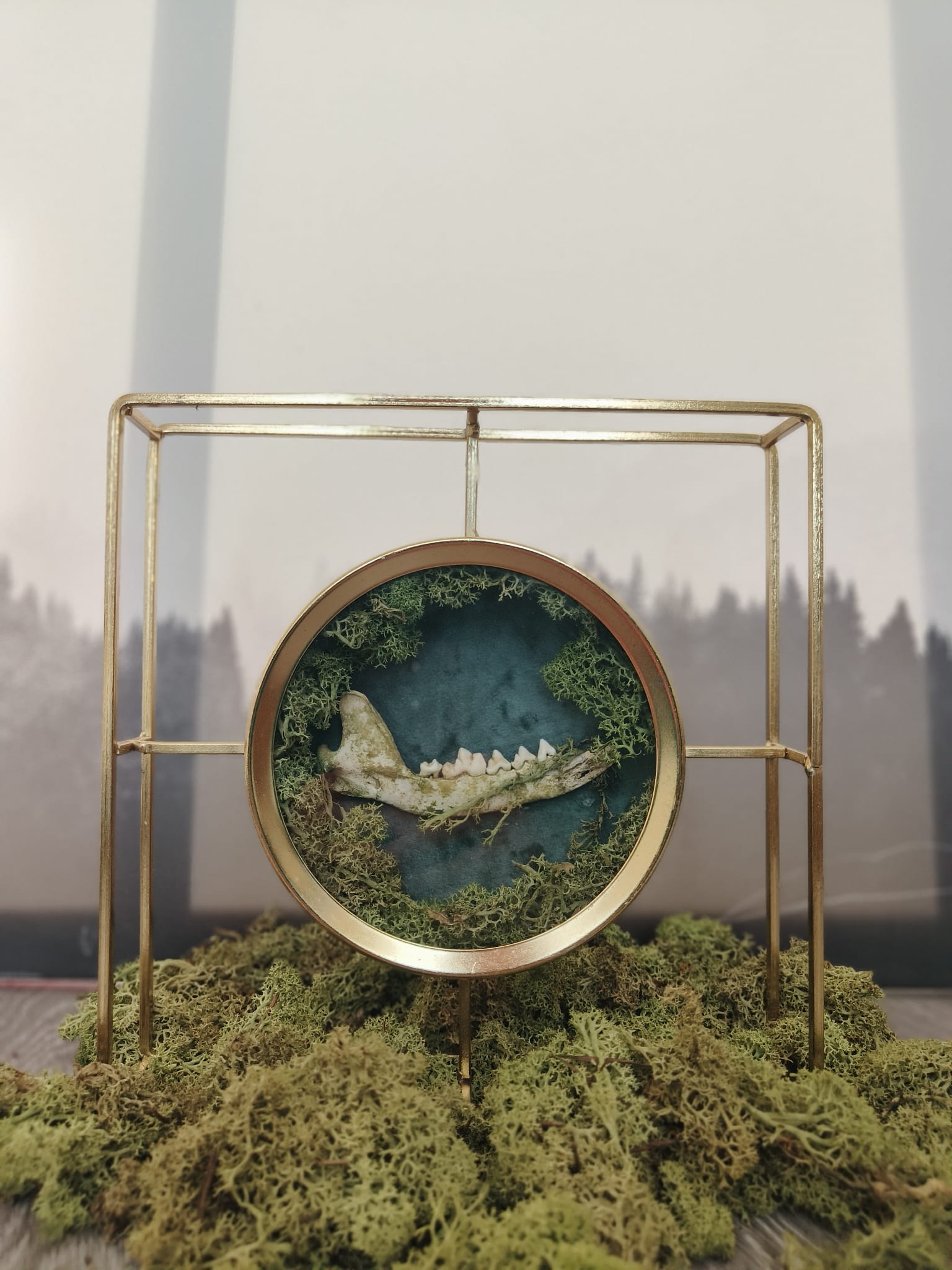 Kader Das – galerij 5