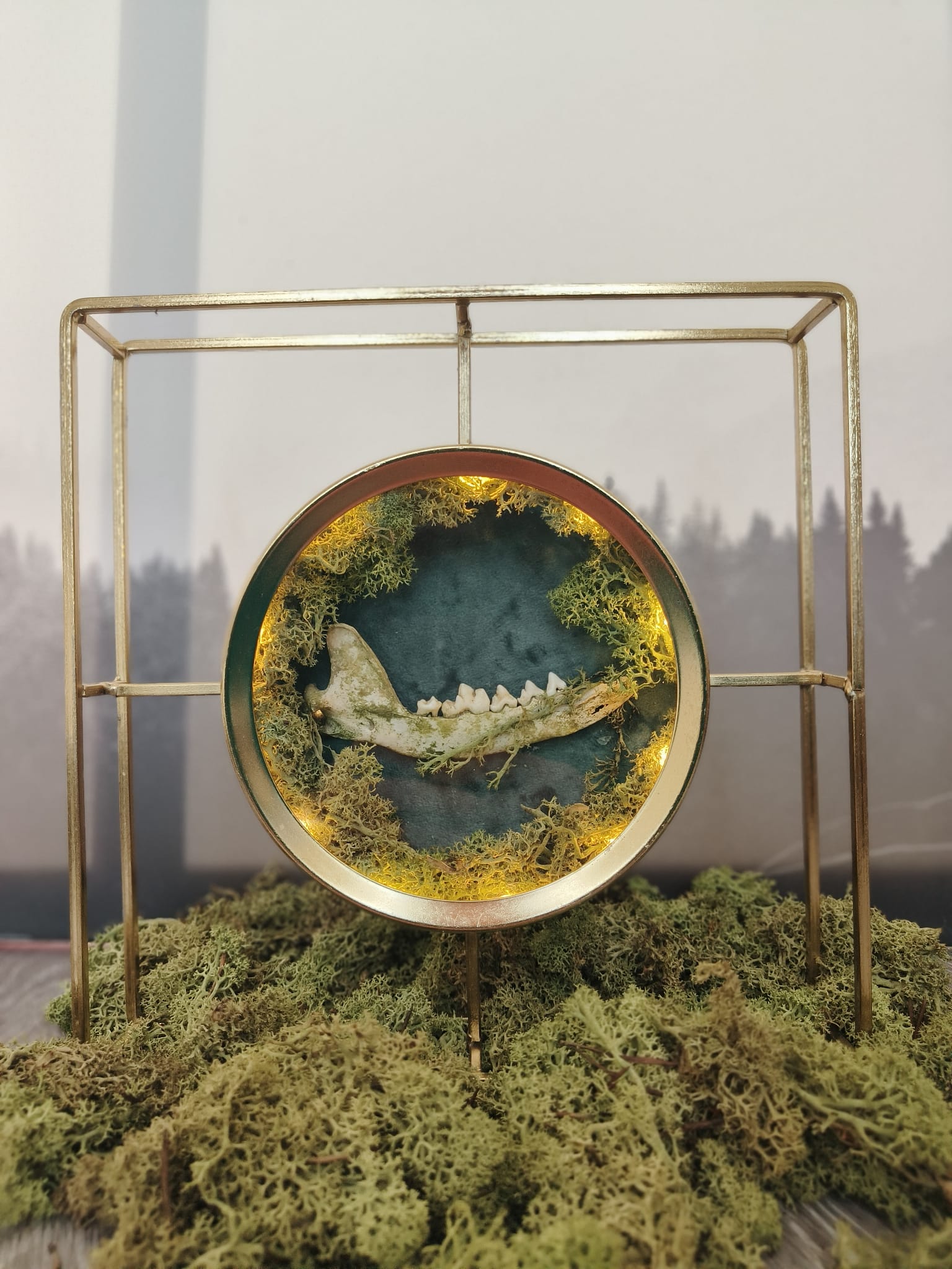 Kader Das – galerij 6