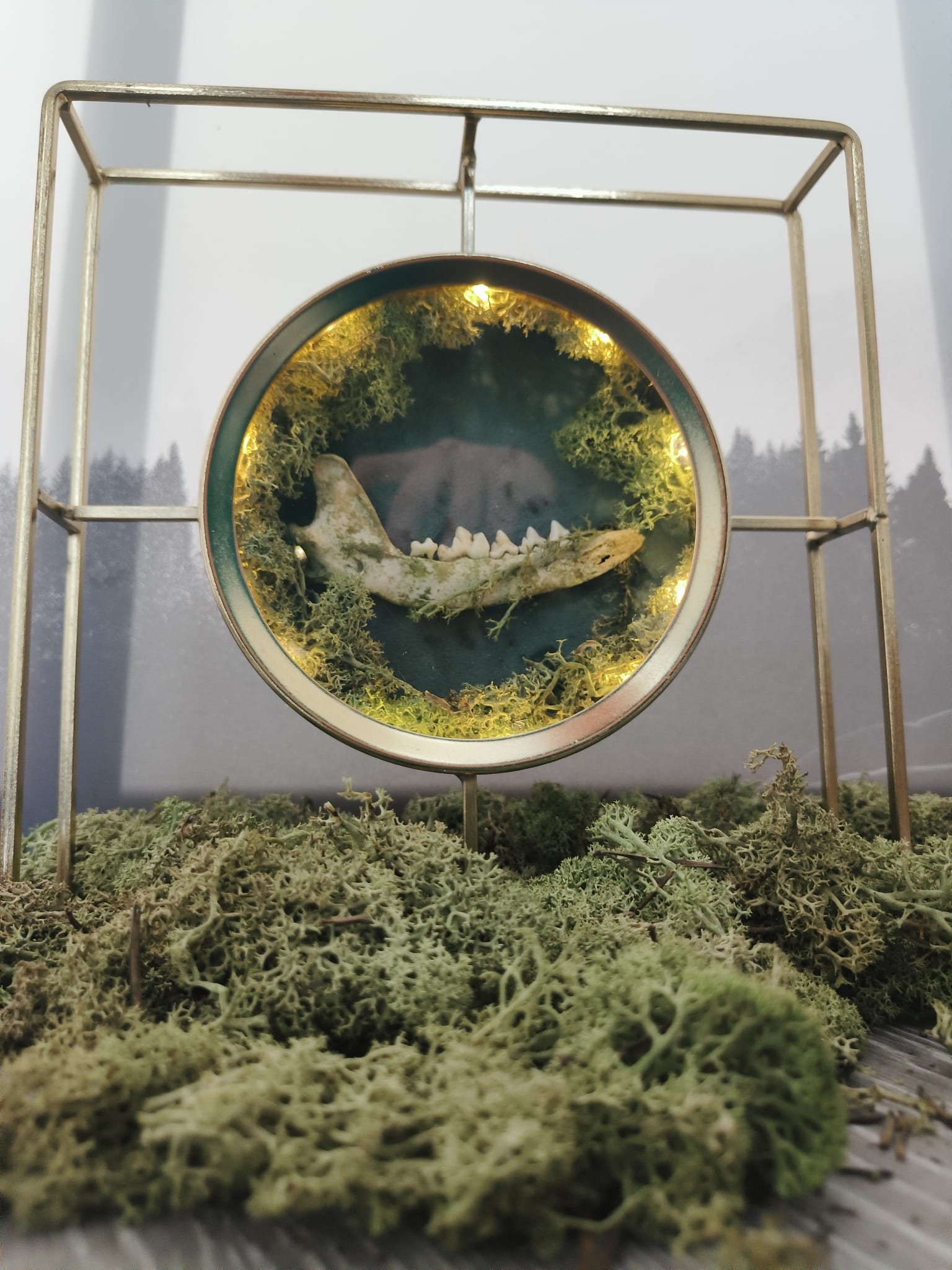 Kader Das – galerij 7