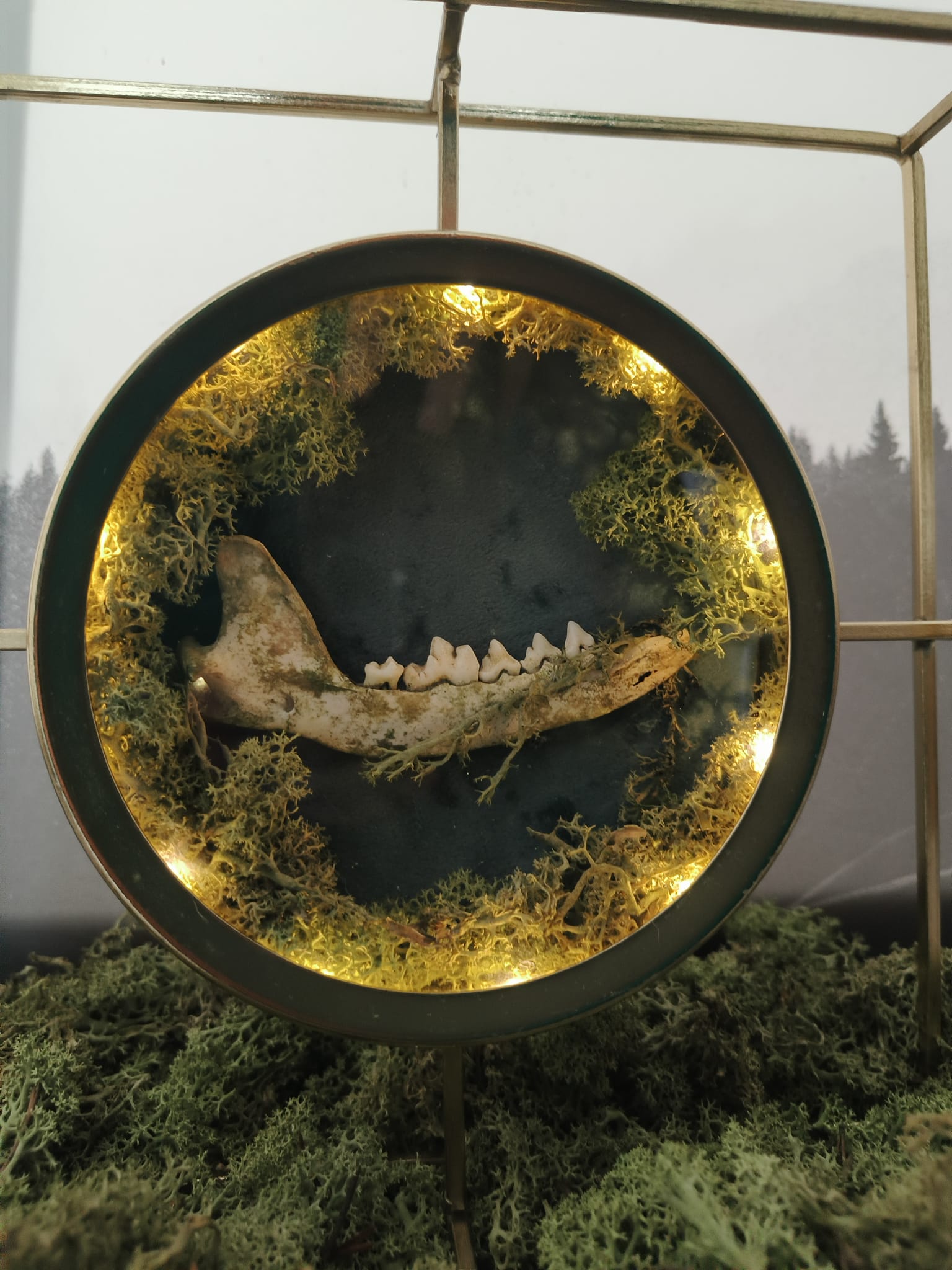 Kader Das – galerij 8