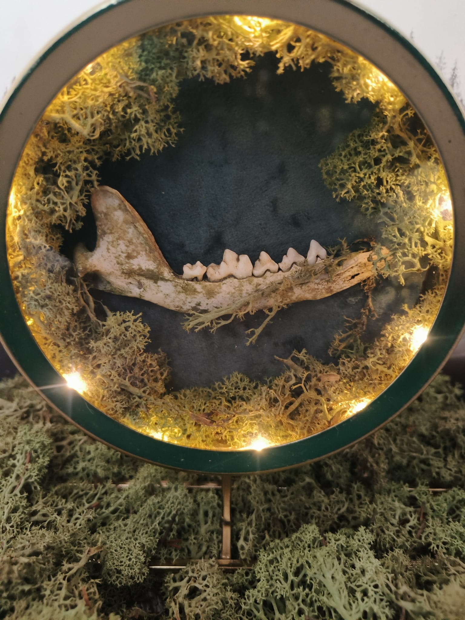 Kader Das – galerij 10