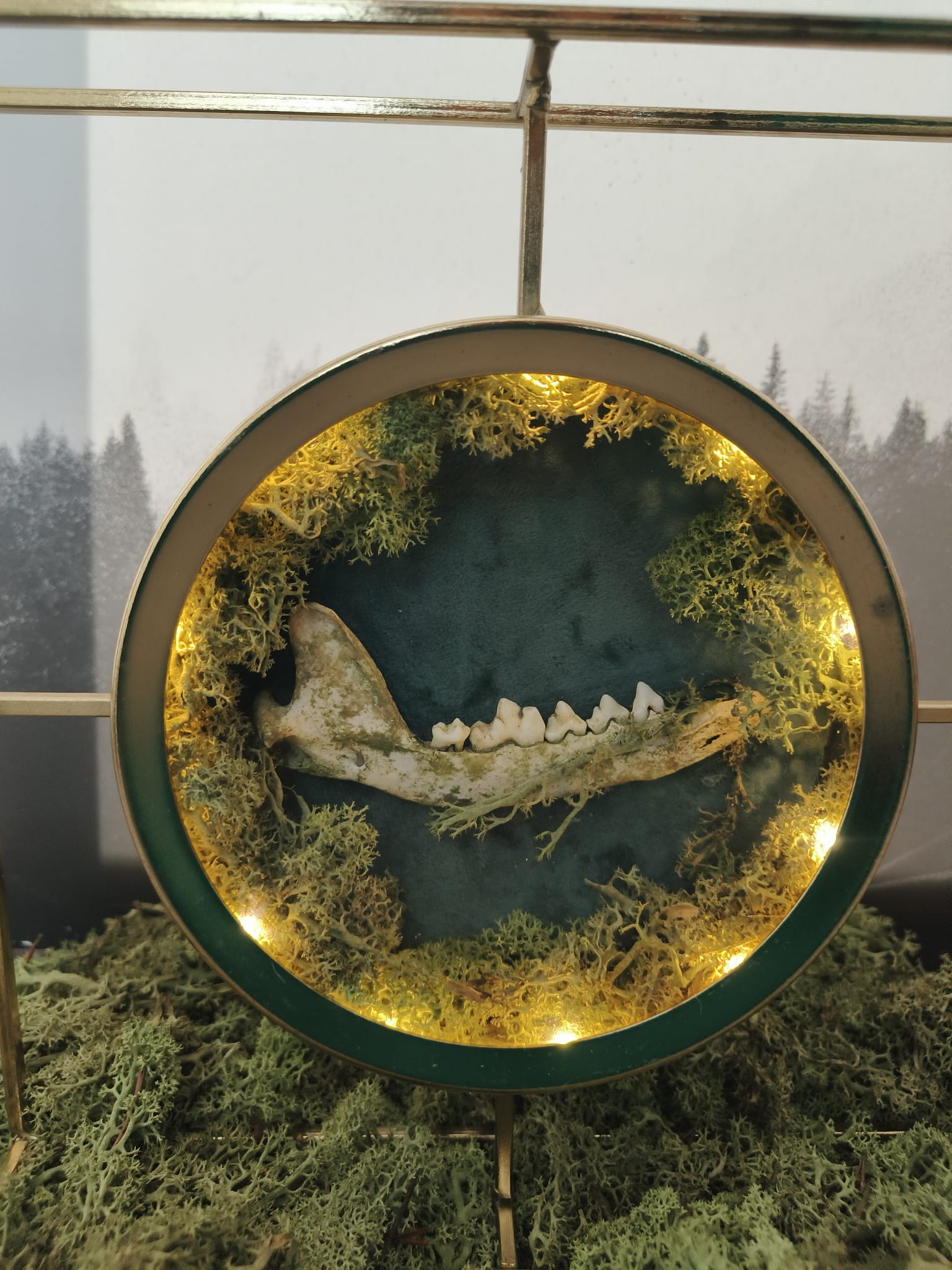 Kader Das – galerij 11